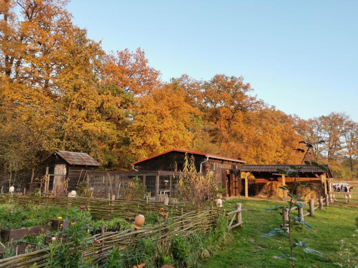 Stajnia Karczow Otel Dış mekan fotoğraf